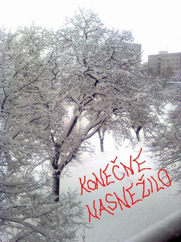 Snímka0547.jpg